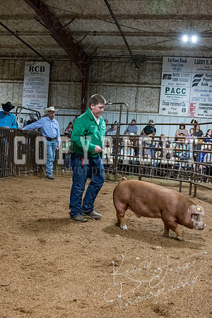 mayes_county_fair_premium_sale_2335