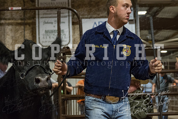 mayes_county_fair_premium_sale_2336