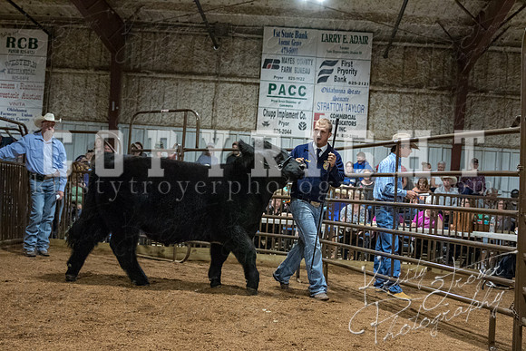mayes_county_fair_premium_sale_2337