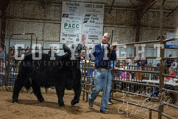 mayes_county_fair_premium_sale_2338