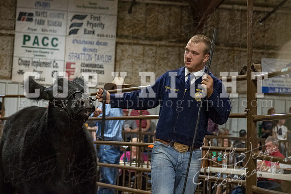 mayes_county_fair_premium_sale_2339