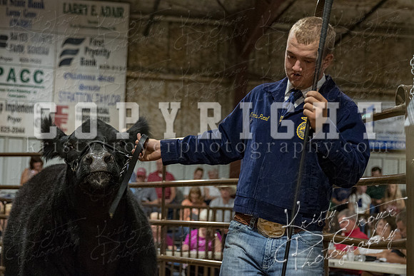 mayes_county_fair_premium_sale_2340