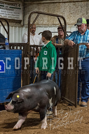 mayes_county_fair_premium_sale_2341