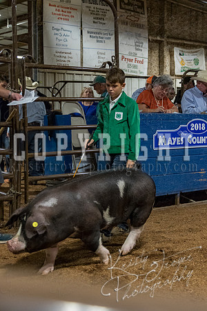 mayes_county_fair_premium_sale_2342