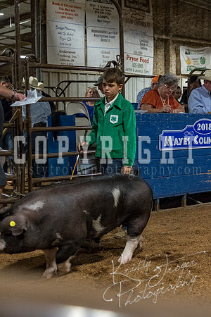 mayes_county_fair_premium_sale_2343