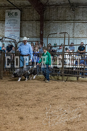 mayes_county_fair_premium_sale_2344