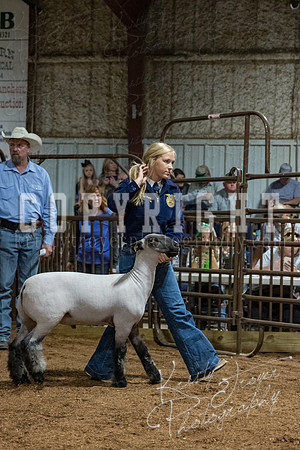 mayes_county_fair_premium_sale_2345