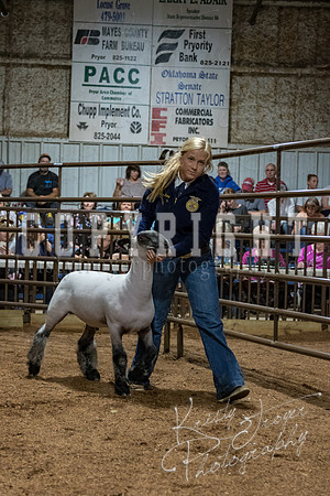 mayes_county_fair_premium_sale_2346