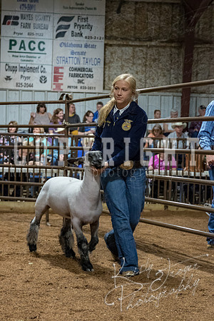 mayes_county_fair_premium_sale_2347