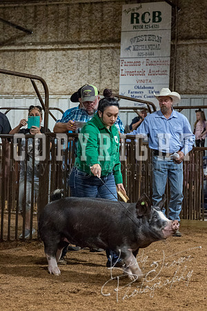 mayes_county_fair_premium_sale_2349