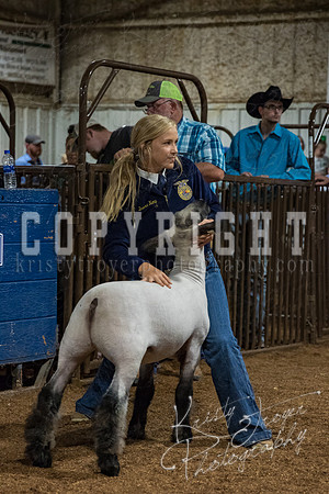mayes_county_fair_premium_sale_2348