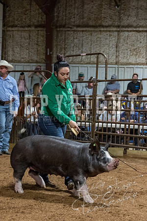 mayes_county_fair_premium_sale_2350