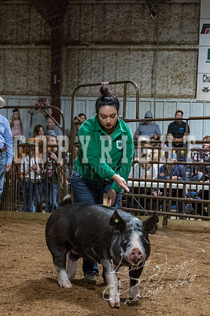 mayes_county_fair_premium_sale_2351