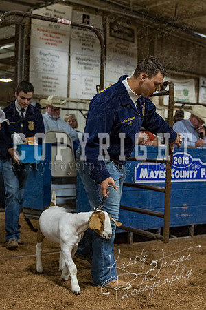 mayes_county_fair_premium_sale_2352