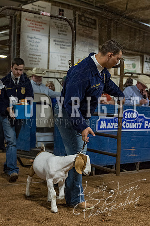 mayes_county_fair_premium_sale_2353