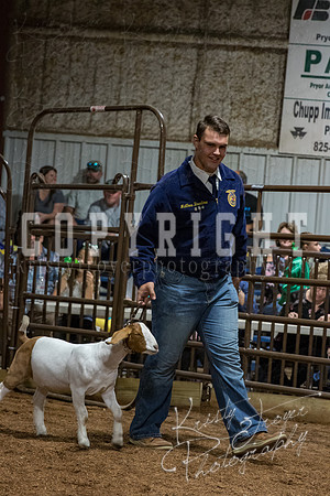 mayes_county_fair_premium_sale_2354