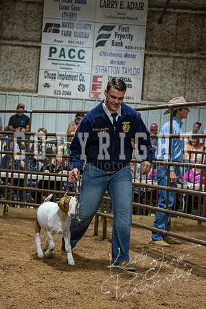 mayes_county_fair_premium_sale_2355