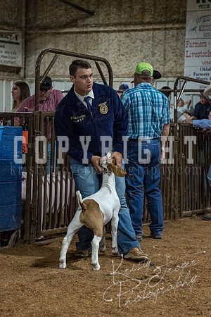 mayes_county_fair_premium_sale_2356