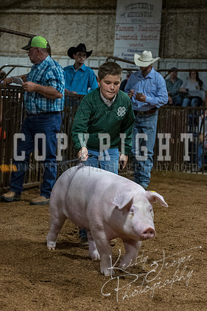 mayes_county_fair_premium_sale_2357
