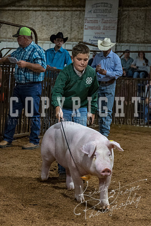 mayes_county_fair_premium_sale_2358