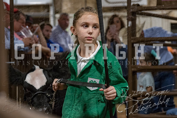 mayes_county_fair_premium_sale_2359