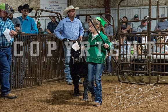 mayes_county_fair_premium_sale_2360