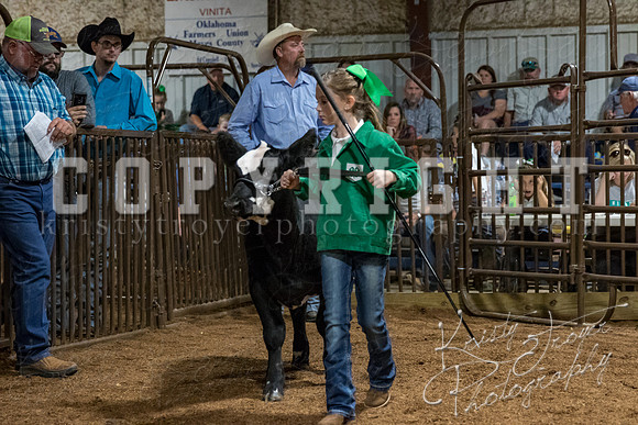 mayes_county_fair_premium_sale_2361