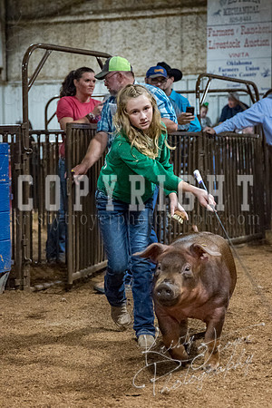 mayes_county_fair_premium_sale_2363