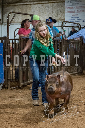 mayes_county_fair_premium_sale_2364