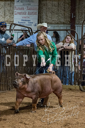 mayes_county_fair_premium_sale_2365
