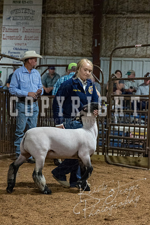 mayes_county_fair_premium_sale_2366