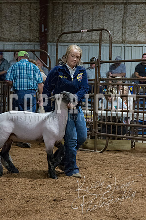 mayes_county_fair_premium_sale_2367