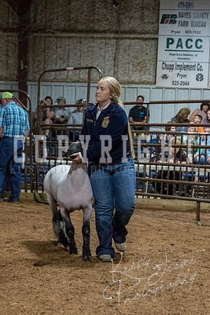 mayes_county_fair_premium_sale_2369