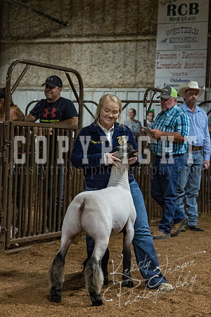 mayes_county_fair_premium_sale_2370