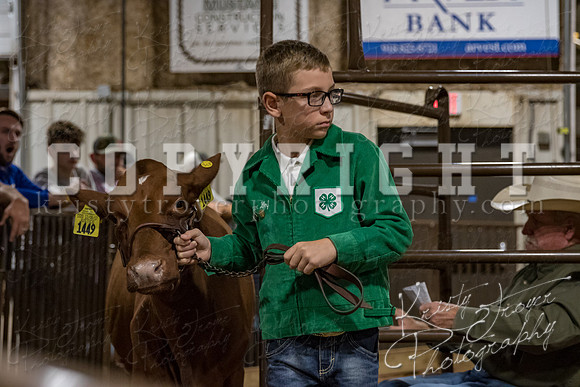 mayes_county_fair_premium_sale_2371