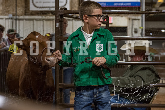 mayes_county_fair_premium_sale_2372