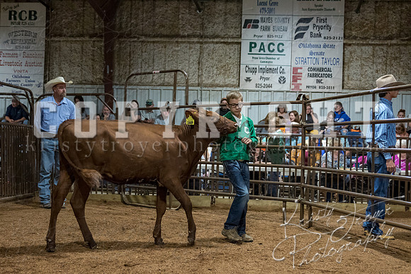 mayes_county_fair_premium_sale_2373