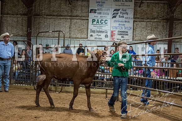 mayes_county_fair_premium_sale_2374
