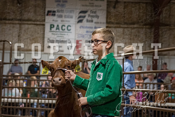 mayes_county_fair_premium_sale_2375
