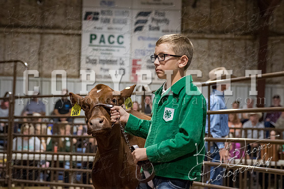 mayes_county_fair_premium_sale_2376