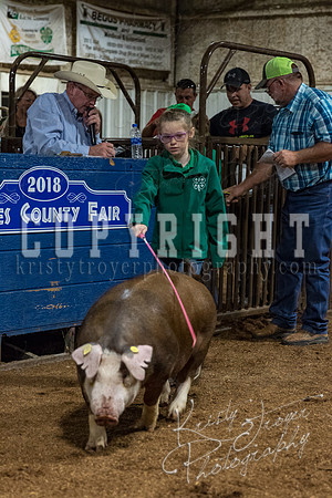 mayes_county_fair_premium_sale_2377