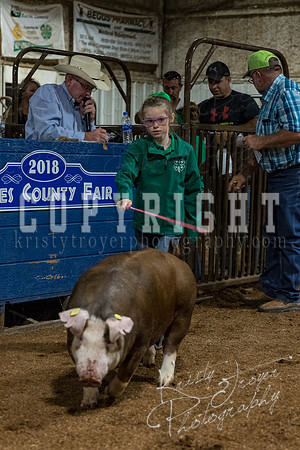 mayes_county_fair_premium_sale_2378