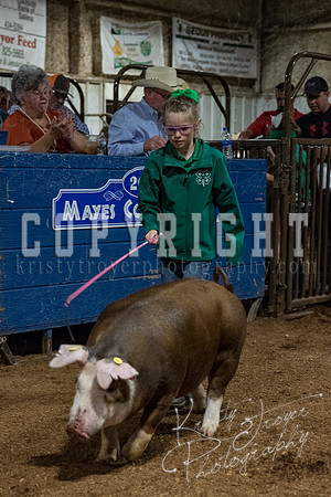 mayes_county_fair_premium_sale_2379