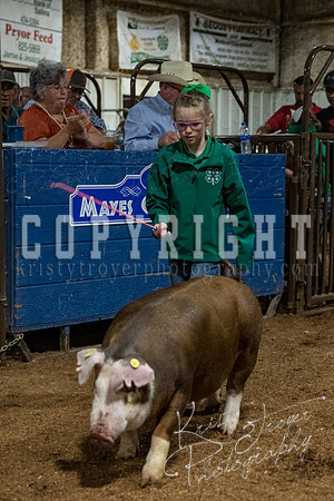 mayes_county_fair_premium_sale_2380