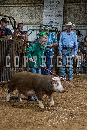 mayes_county_fair_premium_sale_2381