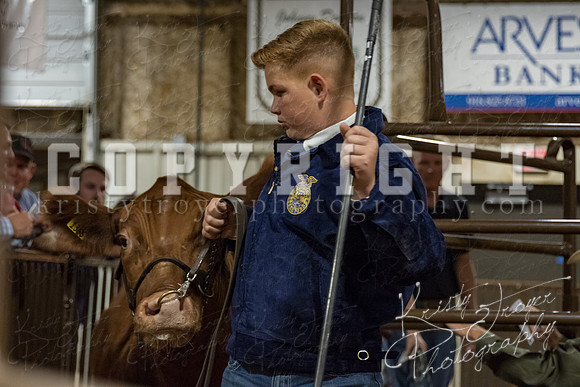 mayes_county_fair_premium_sale_2382