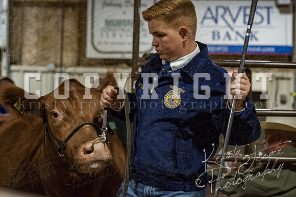 mayes_county_fair_premium_sale_2383
