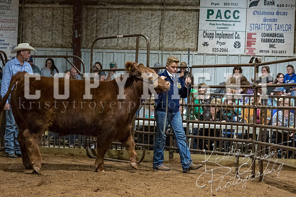 mayes_county_fair_premium_sale_2384