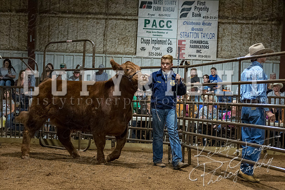 mayes_county_fair_premium_sale_2385
