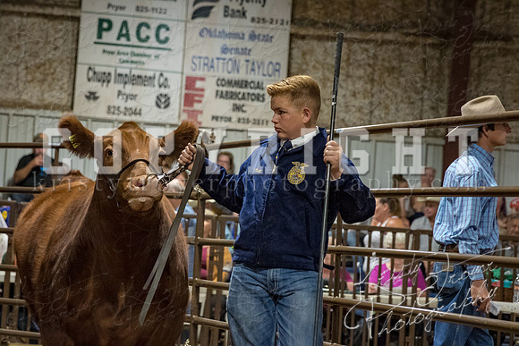 mayes_county_fair_premium_sale_2386